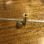 Petrol dipstick and tank air vent in nickel